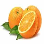 Апельсин: фото, уход, размножение и пересадка